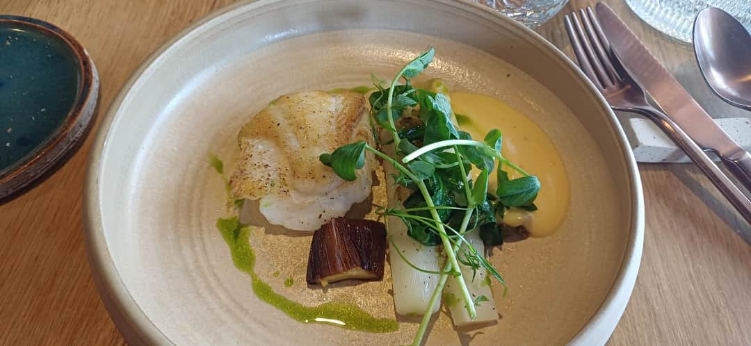 Photo from Mout Damme